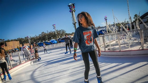 In Dade City, Snowcat Ridge lets Floridians experience a winter wonderland