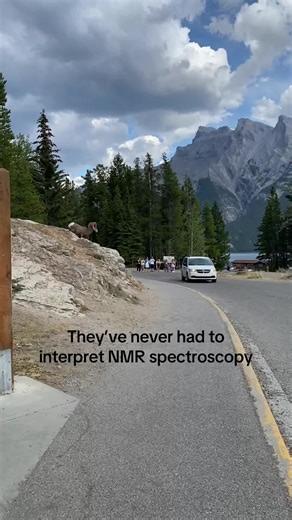 #creatorsearchinsights #exam #final #studytok #premed | nmr spectroscopy