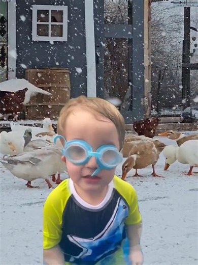 I'm not cold 🙃🦆🪿🫠 #cold #winter #storm #america #ducks