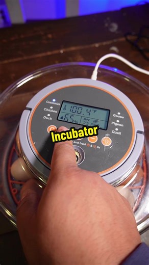 The Ultimate Automatic Egg Incubator for Poultry