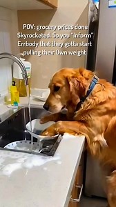 Because of Inflation…you “Inform” ERRBODY in your house, that they gotta start pulling their own weight #friends #family #fun #funny #trendingreels #love #trend #trending #comedy #humor #laugh | Adrian McGlown