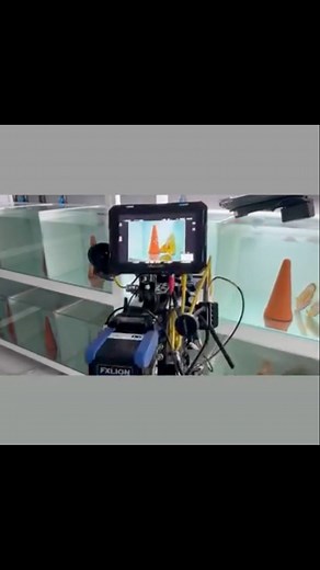 With these professional images you feel like you're seeing the fish live! Television is other World | Santarem Discus Plus