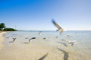 Conch Key and Duck Key Travel Guide - Expert Picks for your Vacation