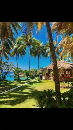 #îledelagonâve . #tourisme . #labadee #haïti #touristday #touristday #cultura #haiti #sealife #plongé #haiti #haititourisme #labadee #palmistour #tourism #ski #jetsky #para #caraibean #vibe #traveltheworld #tropical #ensoleillé #tropical #labadeehaiti #sea #beachlife #beachlife #tour #touris #croisière #naturephotography #naturelovers #balneariocamboriu #balneario #haiti #haitiantiktok #haitiano #haitianos #rd