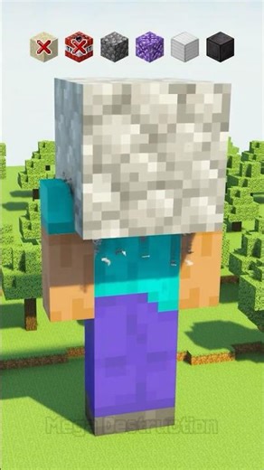 Which Falling Block Breaks Steve?