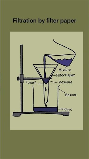 Filtration Using Filter Paper | Simple Labelled Diagram