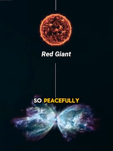 The Life Cycle of a Star !! #space #science #universe #star #bigbang
