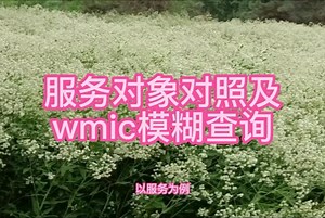 wmic命令以服务为对照，并实现模糊查询