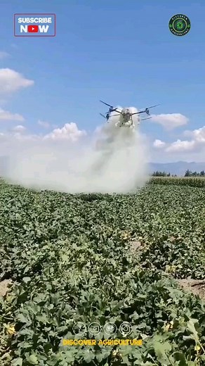 4.2K views · 47 reactions | Fertilizer Dusting Agriculture Drone | Discover Agriculture | Facebook