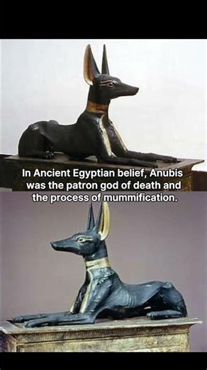 The Silent Sentinel: The Golden Anubis of Tutankhamun’s Tomb #history #education