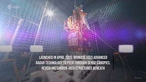 'Space Brolly' Returns First Striking Images Of Earth's Forests