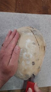 CINNAMON RAISIN SOURDOUGH bread filled with plump raisins, swirled cinnamon sugar in a sourdough loaf! Your go-to guide for Cinnamon raisin bread recipe, made in one-bowl and baked in a Dutch oven! 👉INGREDIENTS NEEDED: 500 grams flour (mix of unbleached bread flour and whole white wheat flour) 100 grams active sourdough starter 375 grams lukewarm water (reserve 25 grams for after Fermentolyse) 10 grams sea salt 110 grams (3/4 cup) raisins (added during stretch and folds) Cinnamon filling 1/4 cu