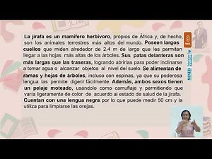 15 Teleclasses Language and Literature 8th Grade Descriptive Texts February 17, 2024