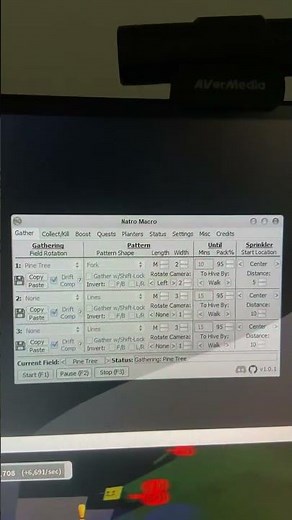 New best pine tree macro by me super good #pinetree #bss #bluehive