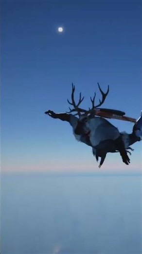 New flying exploit??? #gaming #crimsondesertgameplay