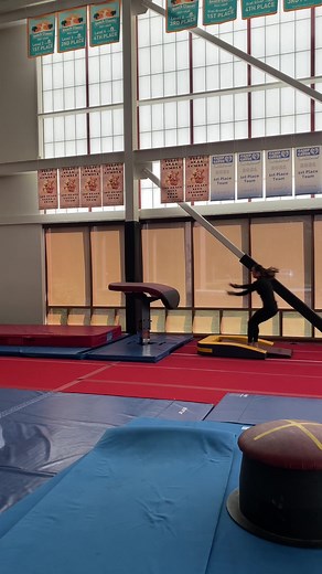 Haha… I’ve been avoiding vault and my knee has only gotten worse since I filmed this video. 😬 I also worked yurchenko entries a little bit last week. #vault #gymnastics #gymnast #yurchenko #tsuk #tsukvault #excelsapphire #excelgymnastics #fyp #vaultvlog #gymvlog #gymnasticsvlog #practicewithme