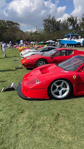 Colleen Sheehan on Instagram: "Fun fact of the day! F40 LM edition #ferrari #f40 #f40LM #modamiami #cargirl #nextgenclassics #cars"