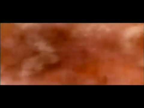 Thx logo (1993) Reverse