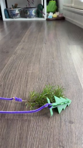 Jessie Jacobson on Instagram: "I Turned Pine Trees into Crystal Ornaments…And Grew My Own Tree!"