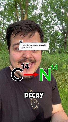 Understanding Fossil Dating Methods