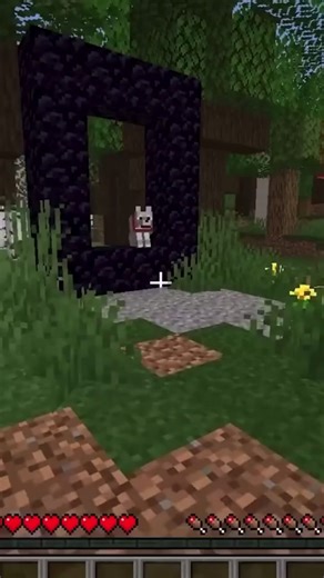 Truques do minecraf é um pouco de realismo. #minecraft #realismo