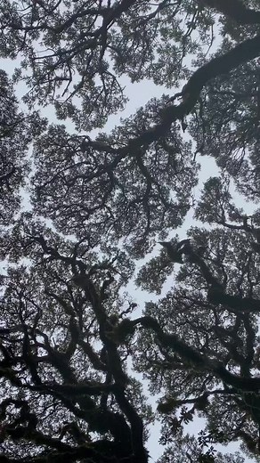 30 Second Nature Video Compilation