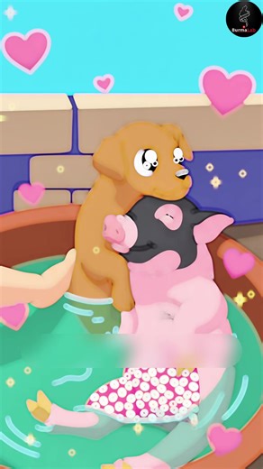 ခွေးကလေးနဲ့ ဝက်ကလေးတို့ရဲ့ သမိုင်းတစ်စောင်