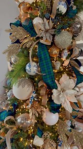 Ashley Cox Strickland on Reels