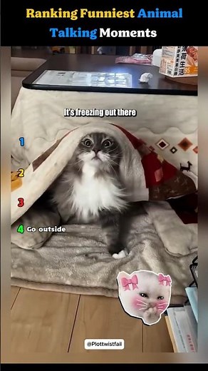 Ranking FUNNIEST Talking Animal Moments! 🐶