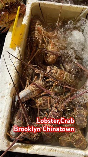 Lobster,Crab in 8th ave Brooklyn Chinatown,nyc.#shorts #lobster #crab #chinatown #nyc