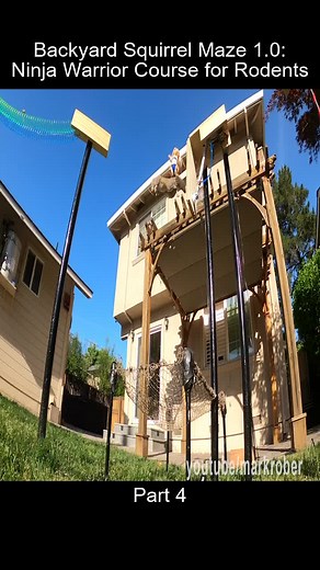 Backyard Squirrel Ninja Warrior Maze