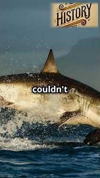 Shocking Discovery in Antarctica: 500-Year-Old Fish & Giant Shark Tooth Found! #southernocean