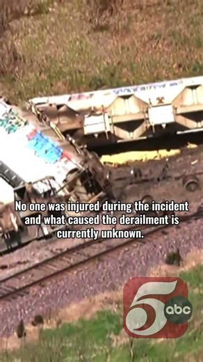 Union Pacific train derails near Henderson in Le Sueur County
