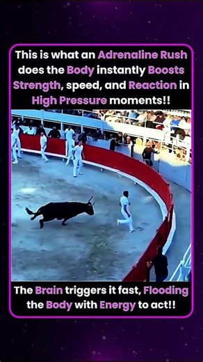 Adrenaline Rush Makes You React Instantly!!