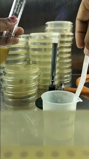 Lead Acetate Paper Strip Method. #lab #laboratory #microbiology