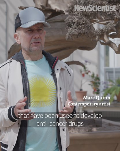 A major exhibition by British contemporary artist Marc Quinn has opened at Kew Gardens. The ‘Light into Life’ exhibition showcases 17 stunning stainless steel and bronze sculptures around the Gardens and in the Temperate House alongside a presentation of Quinn’s new and existing paintings, drawings, sculptures and evocative frozen works. | New Scientist