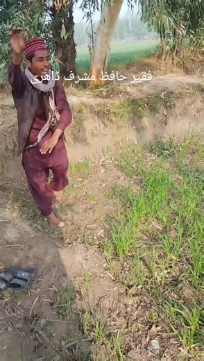 zeeshan ali (@zeeshan.ali25877)’s videos with original sound - zeeshan ali