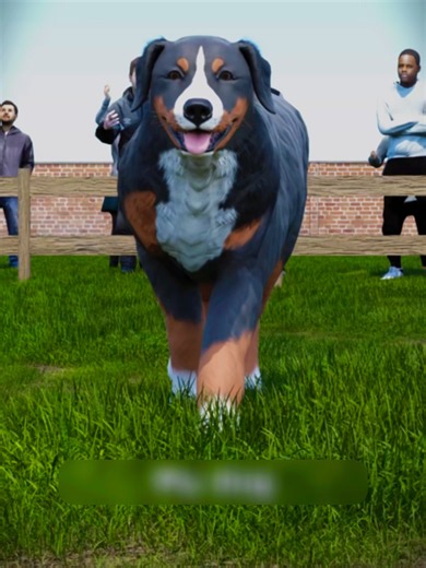 أجبروها على إكمال العرض تحت شمس حارقة والنتيجة صدمت الحكام ودمرت قلبي 😱🚀 الوصف: عندما تتحول الأنانية وطلب المتعة إلى مأساة تنهي حياة أوفى كائن 🛑 كلبتي بوبا كافحت حرارة الأربعين درجة من أجل كأس خردة بلاستيكية 🚀 شاهد قسوة الحكام وكيف كانت النهاية الصادمة أمام وعاء طعامها الفارغ 😱 #قصص_واقعية #مدرسة #عدالة #fyp #viral