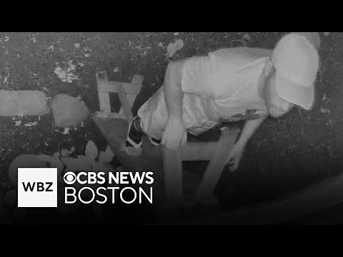 Video shows men peering into Boston apartment windows, residents say