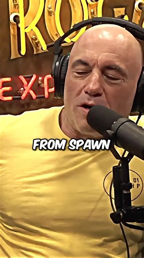 Joe Rogan on the Original Cut of Spawn!