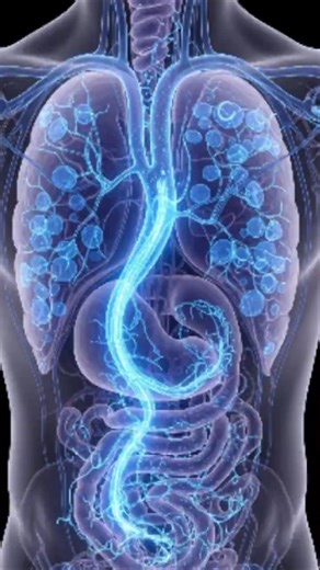 Tips Puasa Agar Tidak Cepat Haus dan Lapar #edukasikesehatan #facts #tipspuasa