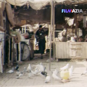 11K views · 462 reactions | YAOW MAIGAY BA DE NASKOR KE MA NAZEGA...