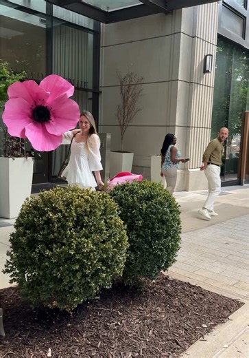 Giant Anemones Blooming at Art Gallery in Atlanta