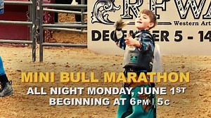 Mini bull action coming to you on an all-night Mini Bull Marathon, June 1, 6pm | 5c on RIDE TV, brought to you by DISH. #minibulls #miniature #bullriding #marathon | Great American Faith & Living Network