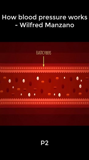 TED-Ed (@tededfanacc)’s videos with original sound - TED-Ed