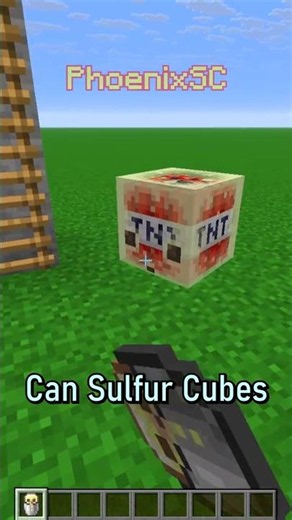 Can Sulfur Cubes climb ladders?
