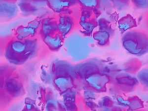 The Rookies - Ariel Taylor - Motion Graphics Portfolio, by actualmangotree