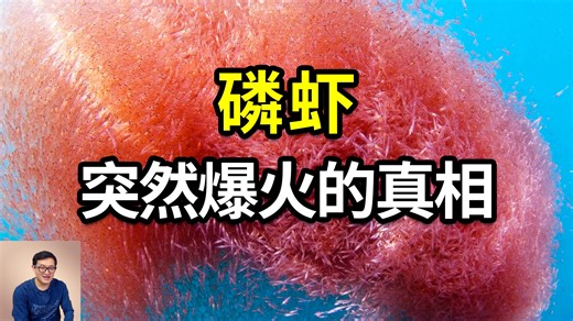 磷虾为什么突然爆火？不光磷虾油，还有三文鱼！地球上最大的动物蓝鲸，竟然因南极磷虾而生！看磷虾如何改变这个世界……