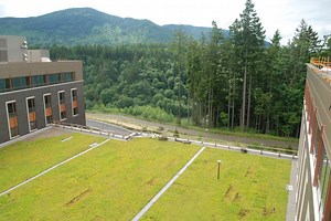 New Issaquah Hospital Promotes Efficiency and Quality of Service