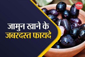 Java Plum Benefits: इम्युनिटी बूस्ट से लेकर वजन घटाने तक, जानें ये काले रसीले जामुन फल के 5 फायदे | Java Plum Benefits From immunity boost to weight loss know 5 black juicy jamun fruit health benefits